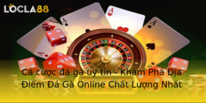 Ca Cuoc A Ga Uy Tin Kham Pha Ia Iem A Ga Online Chat Luong Nhat