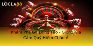 Kham Pha Ga Ong Tao Giong Gia Cam Quy Hiem Chau A