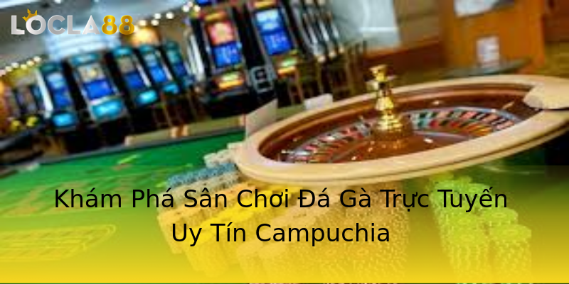Khám Phá Sân Chơi Đá Gà Trực Tuyến Uy Tín Campuchia Khám Phá Sân Chơi Đá Gà Trực Tuyến Uy Tín Campuchia
