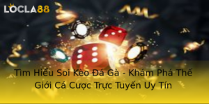 Tim Hieu Soi Keo A Ga Kham Pha The Gioi Ca Cuoc Truc Tuyen Uy Tin