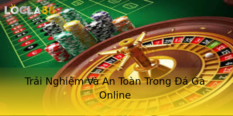 Trải Nghiệm Và An Toàn Trong Đá Gà Online Trải Nghiệm Và An Toàn Trong Đá Gà Online