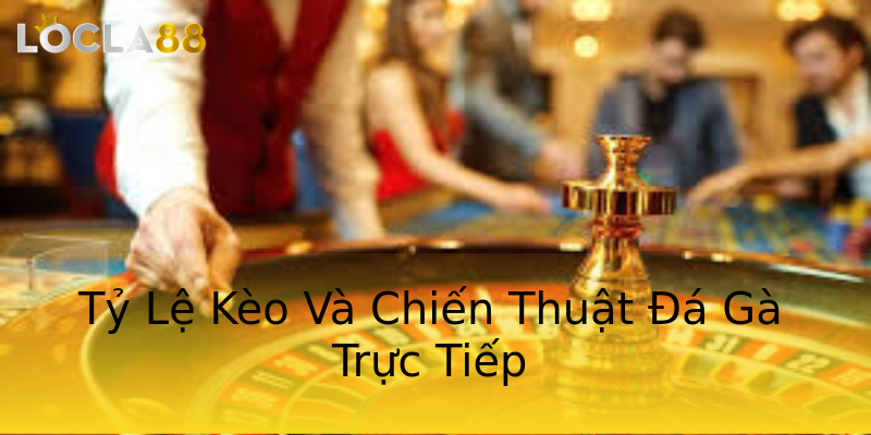 Tỷ Lệ Kèo Và Chiến Thuật Đá Gà Trực Tiếp Tỷ Lệ Kèo Và Chiến Thuật Đá Gà Trực Tiếp