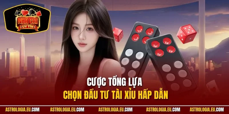 Cược tổng lựa chọn đầu tư tài xỉu hấp dẫn