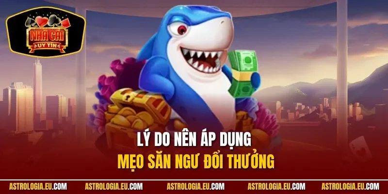 Lý do nên áp dụng mẹo săn ngư đổi thưởng